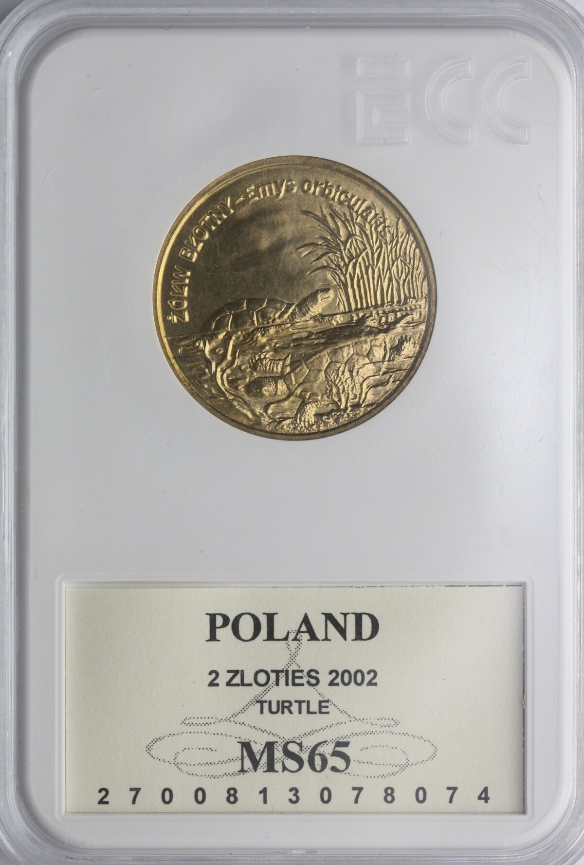 2 zł GN, Żółw błotny, 2002, GCN MS65